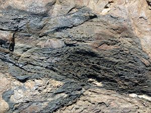 Close-up of a band of black vesicular rock in an outcrop near Four Mile Beach in Port Douglas