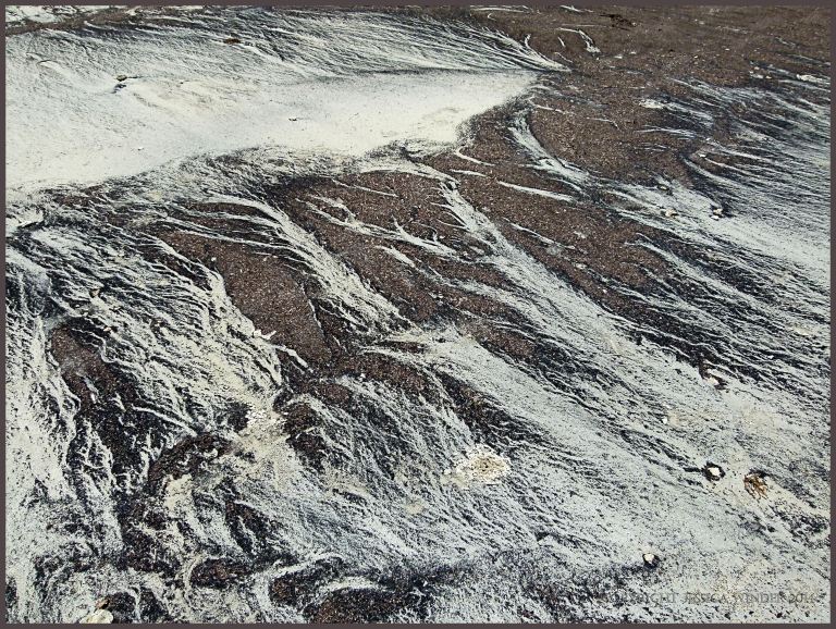 Abstract natural patterns of coral sand and plant debris on the drift line at Cape Tribulation beach