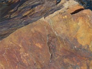Close-up of rusty rock in an outcrop near Four Mile Beach in Port Douglas