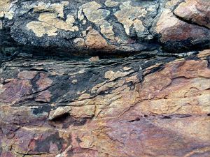 Colour and texture in a rock outcrop near Four Mile Beach in Port Douglas