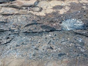 Colour and texture, possibly showing evidence of extrusive volcanic activity, in a rock outcrop near Four Mile Beach in Port Douglas