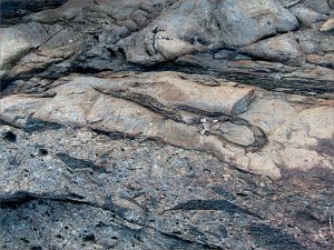 Colour and texture, possibly showing evidence of extrusive volcanic activity, in a rock outcrop near Four Mile Beach in Port Douglas