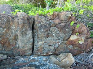 Colour and texture in a rock outcrop near Four Mile Beach in Port Douglas