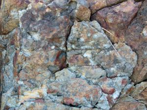 Colour and texture in a rock outcrop near Four Mile Beach in Port Douglas