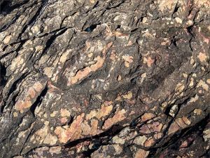 Colour and texture in a rock outcrop near Four Mile Beach in Port Douglas