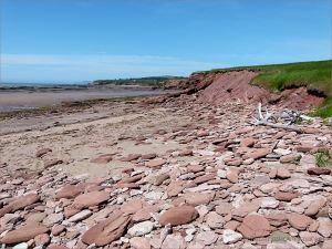 Red Triassic rocks on Waterside Beach in New Brunswick