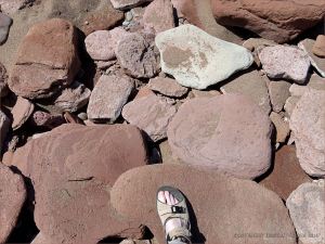 Red Triassic rocks on Waterside Beach in New Brunswick