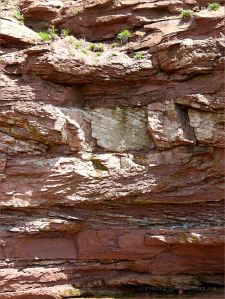 Vertical cross-section through red Triassic rock strata in the cliff at Waterside, New Brunswick.