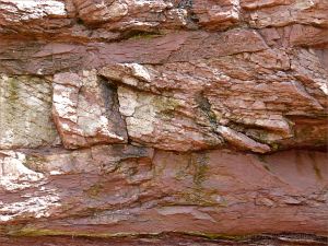 Vertical cross-section through red Triassic rock strata in the cliff at Waterside, New Brunswick.