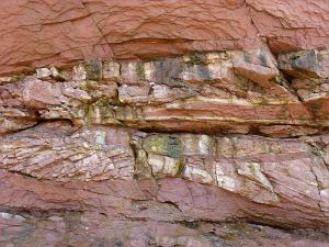 Vertical cross-section through red Triassic rock strata in the cliff at Waterside, New Brunswick.