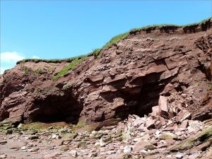 Shallow caves undercut by waves in cliff at Waterside in New Brunswick
