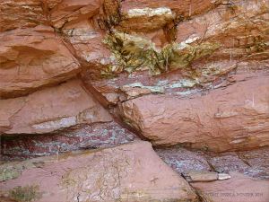 Diagonal fault line displacing strata in the cliff at Waterside Beach in New Brunswick