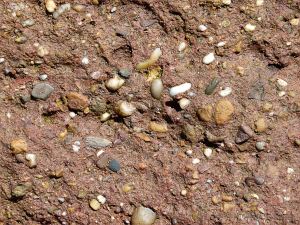 Triassic conglomerate on the beach at Waterside in New Brunswick