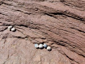 Pattern of lines showing rock layers in water-worn bedrock on the shore at Waterside in New Brunswick