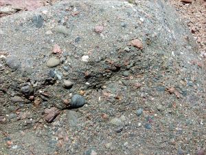 Triassic conglomerate on the beach at Waterside in New Brunswick