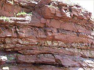 Vertical cross-section through red Triassic rock strata in the cliff at Waterside, New Brunswick.
