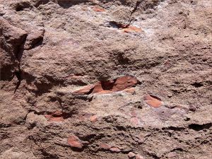 Triassic conglomerate on the beach at Waterside in New Brunswick