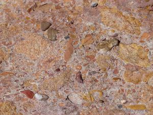 Triassic conglomerate on the beach at Waterside in New Brunswick