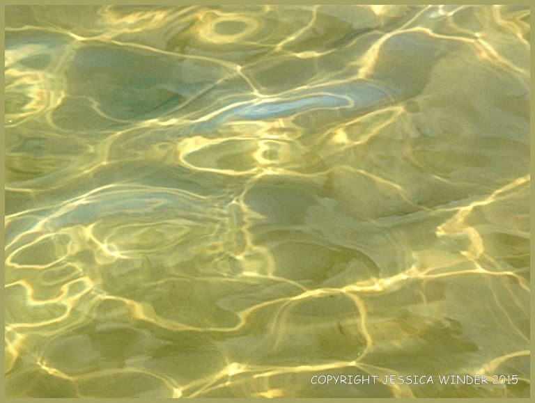 Light reflected on rippled water