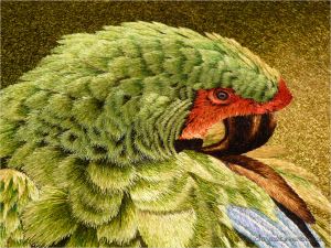 Embroidered parrot displayed at lan Su Chinese Garden in Portland, Oregon