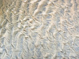 Ripples in wet sand on Rhossili Beach
