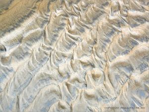 Ripples in wet sand on Rhossili Beach