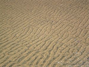 Sand ripples under shallow water at Rhossili Beach