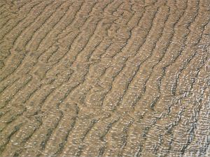 Sand ripples under shallow water at Rhossili Beach