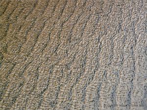 Sand ripples under shallow water at Rhossili Beach