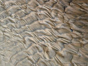 Texture and pattern in wet sand ripples at Rhossili in Gower