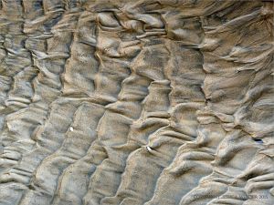 Texture and pattern in wet sand ripples at Rhossili in Gower