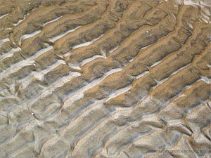 Texture and pattern in wet sand ripples at Rhossili in Gower