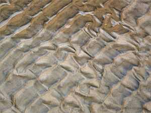 Texture and pattern in wet sand ripples at Rhossili in Gower
