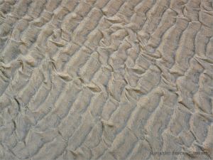 Texture and pattern in wet sand ripples at Rhossili in Gower