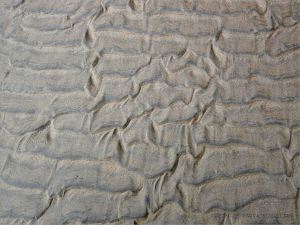 Texture and pattern in wet sand ripples at Rhossili in Gower