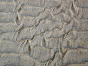 Texture and pattern in wet sand ripples at Rhossili in Gower