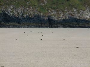 View looking south towards Rhossili cliffs with stumps of wooden posts belonging to an unidentified structure on Rhossili beach