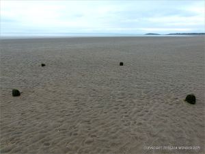 View looking towards the sea and Burry Holms with stumps of wooden posts belonging to an unidentified structure on Rhossili beach