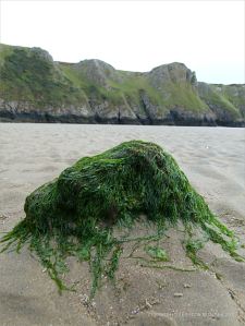 Stump of a wooden post belonging to an unidentified structure on Rhossili beach