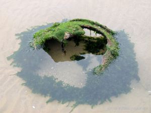 Rusty remains thought to be an old empty WWII mine on Rhossili beach