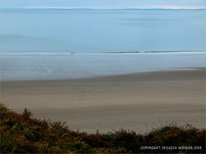 View looking down onto stumps of wooden posts belonging to an unidentified structure on Rhossili beach