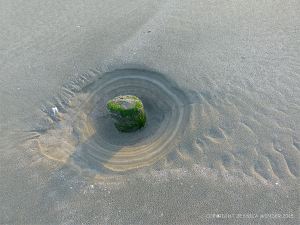 Stump of a wooden post belonging to an unidentified structure on Rhossili beach