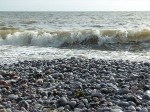 Pebbles on the water's edge at Pwll Du Bay