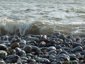 Pebbles on the water's edge at Pwll Du Bay