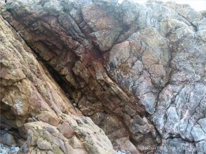 Detail of Carboniferous Limestone at the east end of Pwll Du Bay