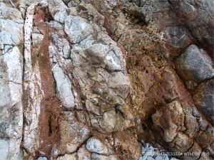 Detail of Carboniferous Limestone at the east end of Pwll Du Bay