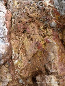 Detail of Carboniferous Limestone at the east end of Pwll Du Bay