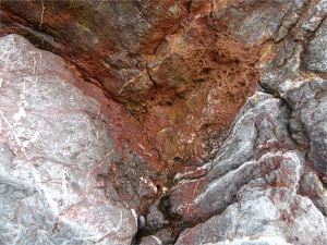 Detail of Carboniferous Limestone at the east end of Pwll Du Bay
