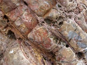 Detail of Carboniferous Limestone at the east end of Pwll Du Bay