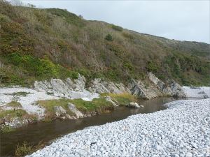 The water of the Bishopston Pill watercourse dammed up behind the shingle banks at Pwll Du